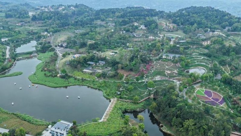 “三个维度”推进巡察监督赋能基层智治提质增效