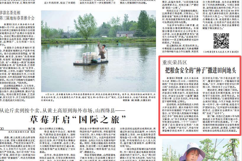 农民日报看重庆｜荣昌：把粮食安全的“种子”撒进田间地头