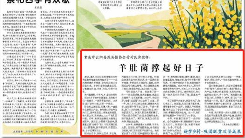 经济日报看重庆｜羊肚菌撑起好日子