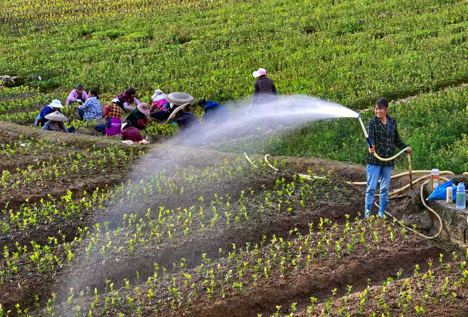 将党委建在产业链上