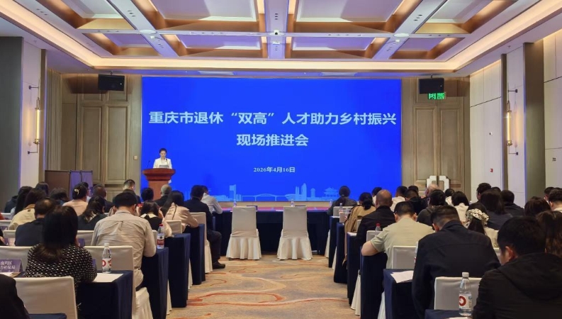 重庆2026年计划聘用退休“双高”人才1000人以上