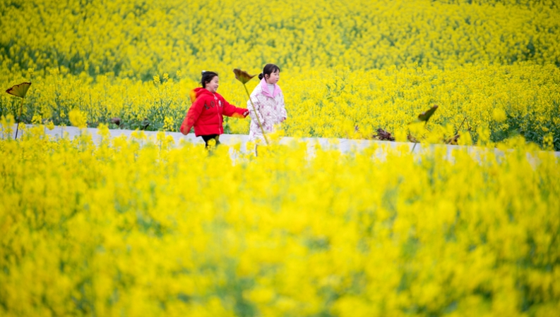 半月谈｜“中国式现代化，民生为大”的重庆实践①