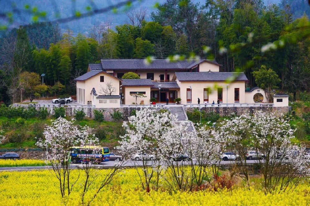 在巴山渝水间，寻一缕千年书香