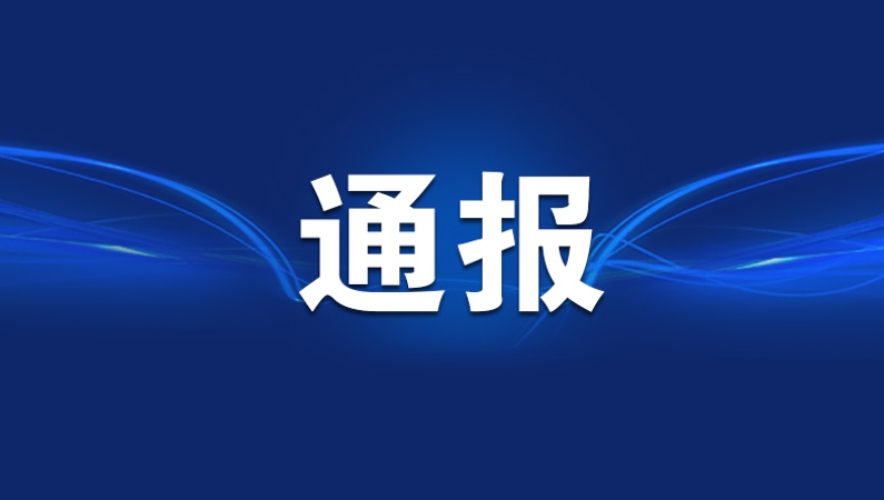 中央纪委国家监委公开通报八起违反中央八项规定精神典型问题