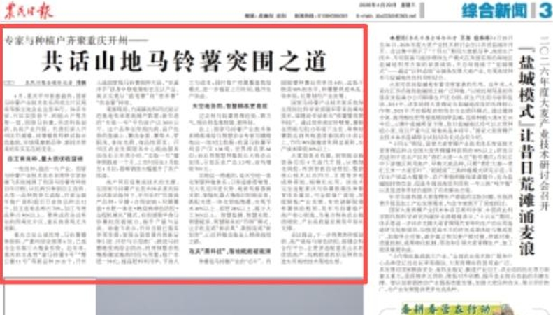 农民日报看重庆｜开州：专家与种植户共话山地马铃薯突围之道