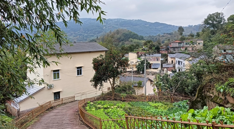 重庆江津广兴镇：深耕“千万工程” 绘就和美乡村新图景