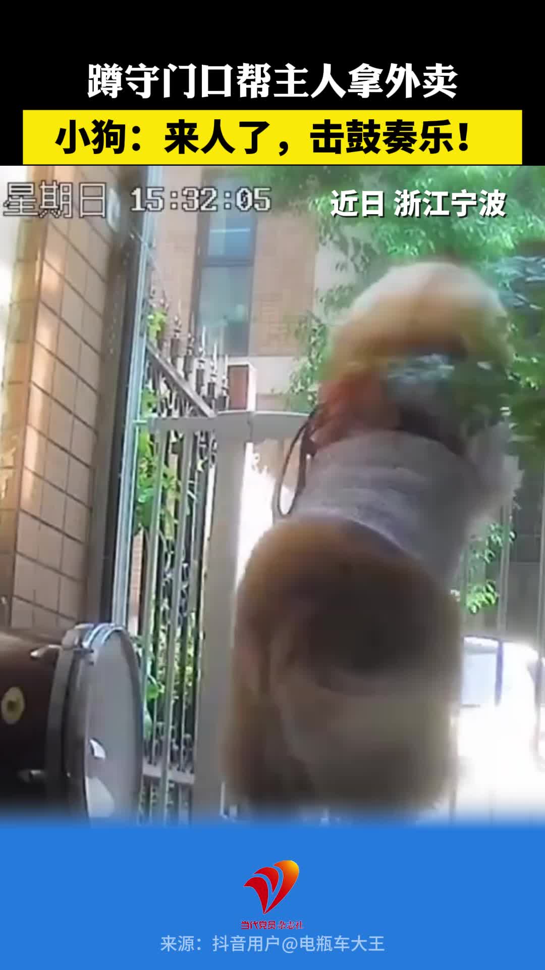 小狗蹲守门口帮主人拿外卖：来人了，击鼓奏乐！