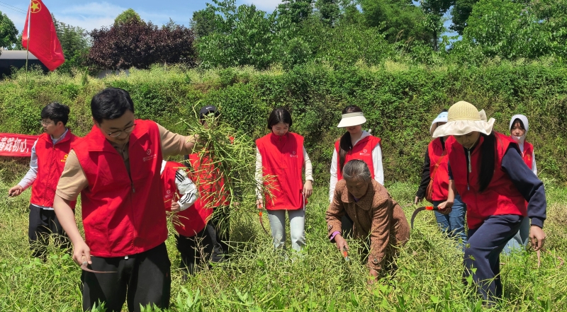 重庆綦江三江街道：“青年节”遇上“农耕课”