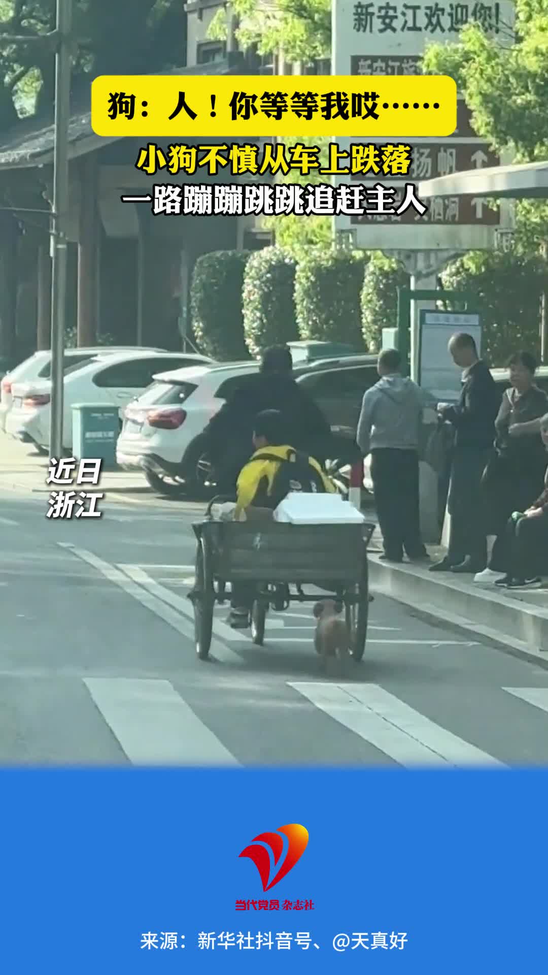 狗：人！你等等我哎……小狗不慎从车上跌落，一路蹦蹦跳跳追赶主人