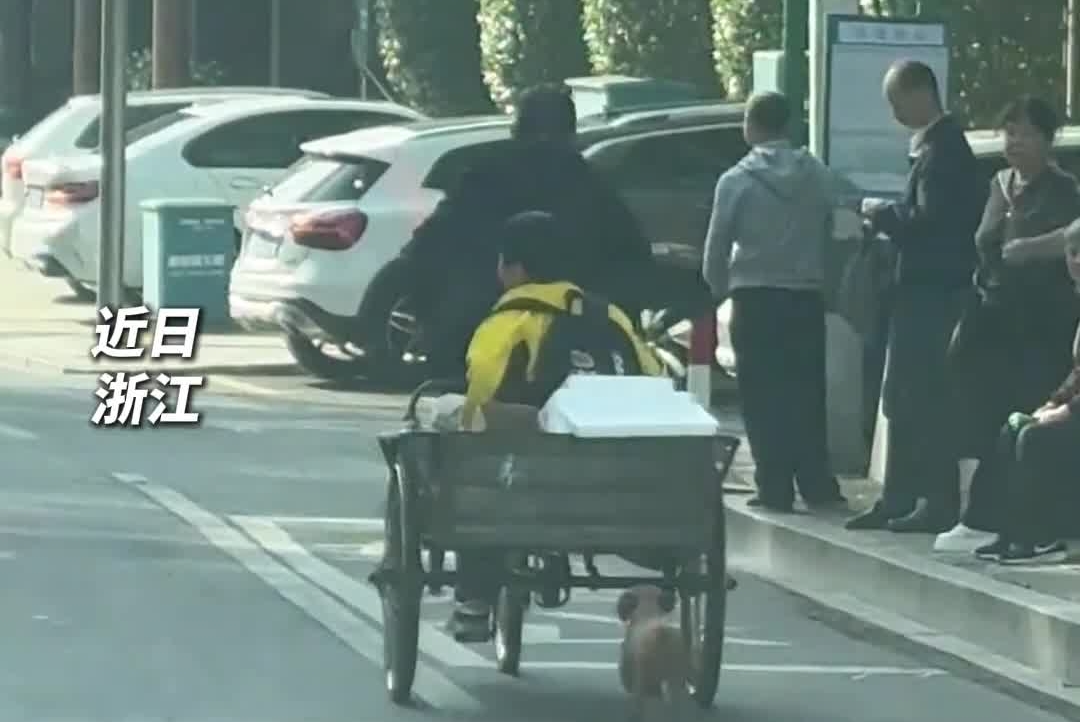 狗：人！你等等我哎……小狗不慎从车上跌落，一路蹦蹦跳跳追赶主人