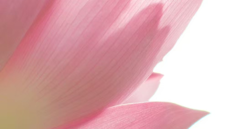严防“节日病” 廉洁过假期——“五一”各地精准纠治“四风”问题观察