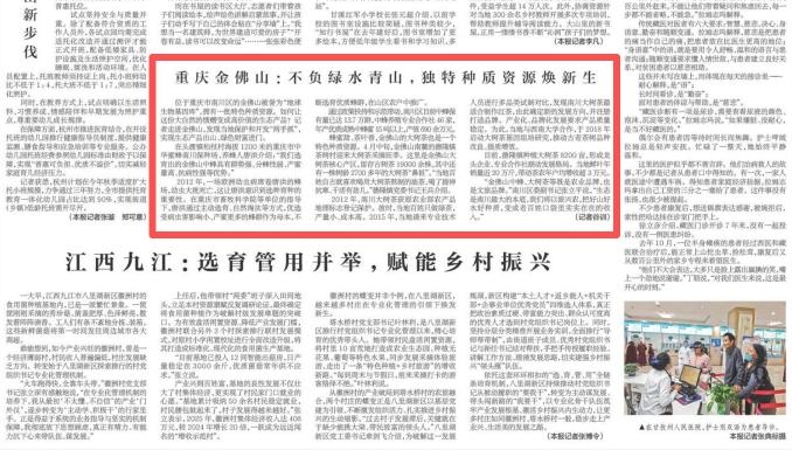 新华每日电讯看重庆｜金佛山：不负绿水青山，独特种质资源焕新生