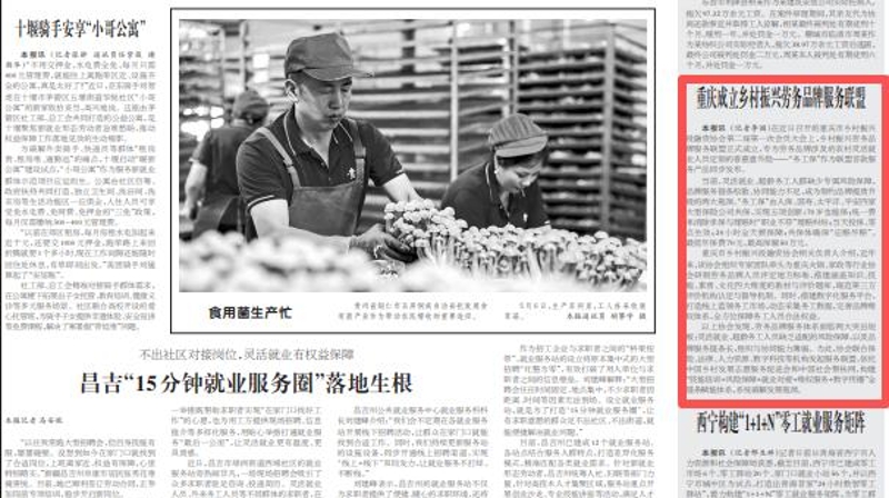 工人日报看重庆｜重庆成立乡村振兴劳务品牌服务联盟