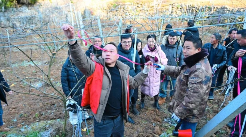 重庆巫山金坪乡：“扁担哥”挑起乡愁与民心