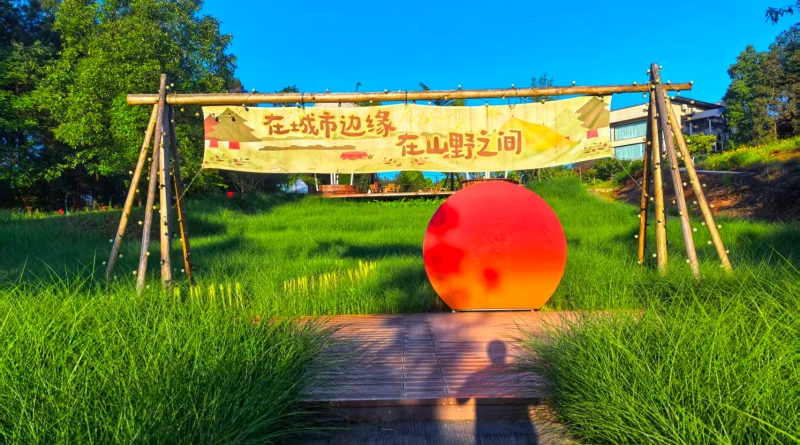 李立峰专栏｜花房故事
