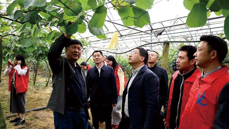 重庆黔江：打通农技推广“最后一公里” 把“科技良方”送到田间地头