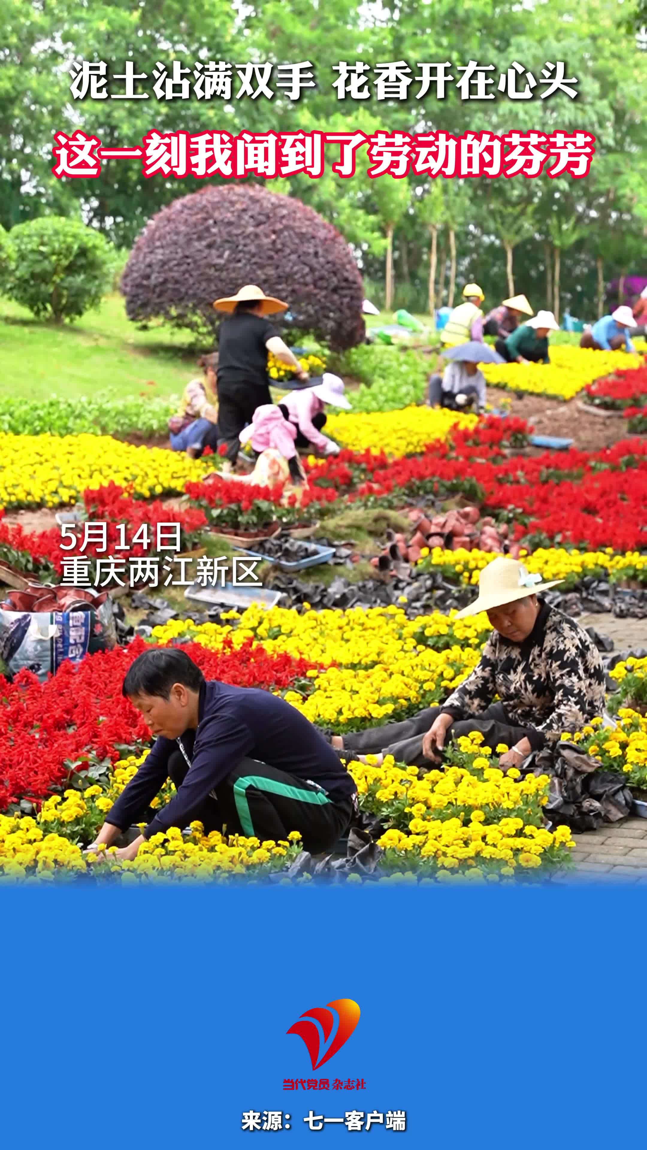 泥土沾满双手，花香开在心头，这一刻，我闻到了劳动的芬芳