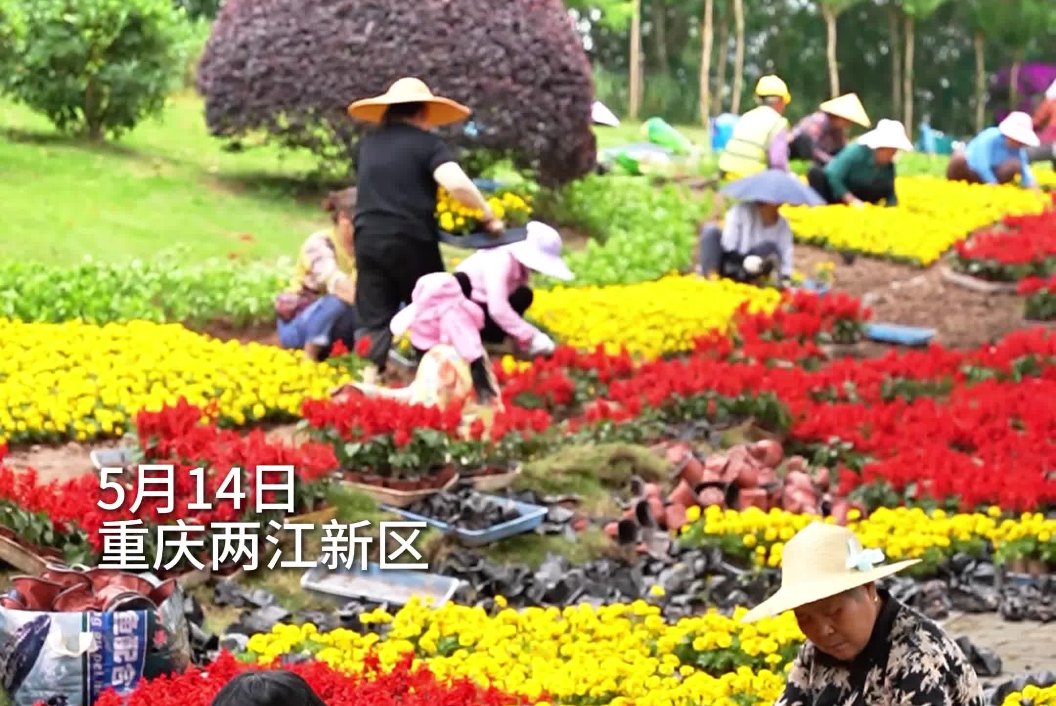 泥土沾满双手，花香开在心头，这一刻，我闻到了劳动的芬芳