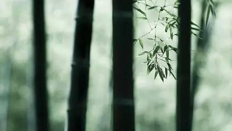 王靖平专栏｜历代廉洁奉公典范人物咏怀（西汉）㉘