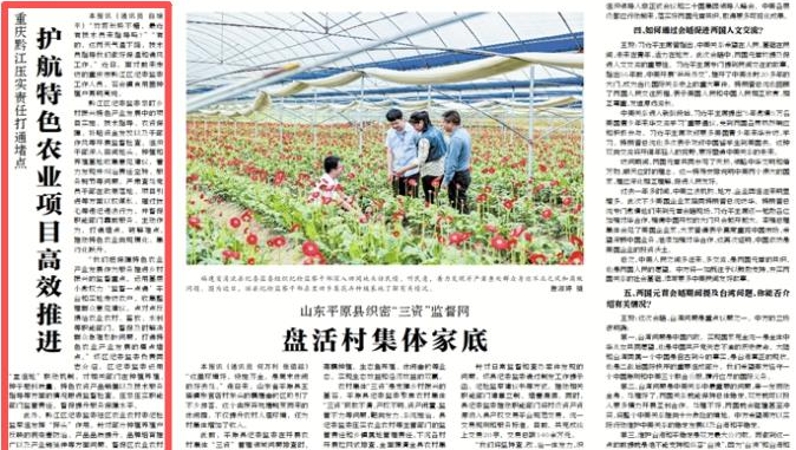 中国纪检监察报看重庆｜黔江：压实责任打通堵点 护航特色农业项目高效推进