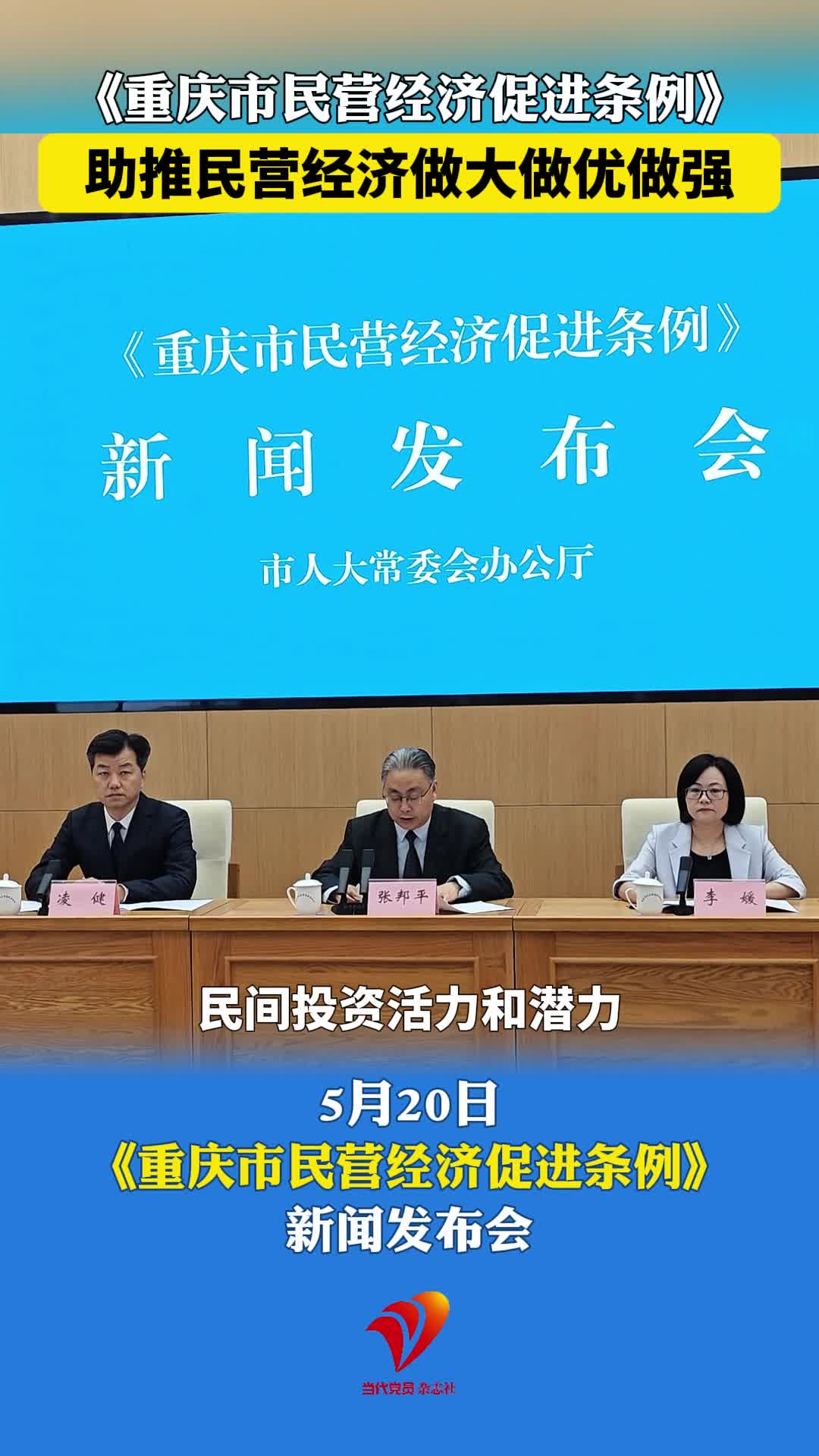 《重庆市民营经济促进条例》助推民营经济做大做优做强