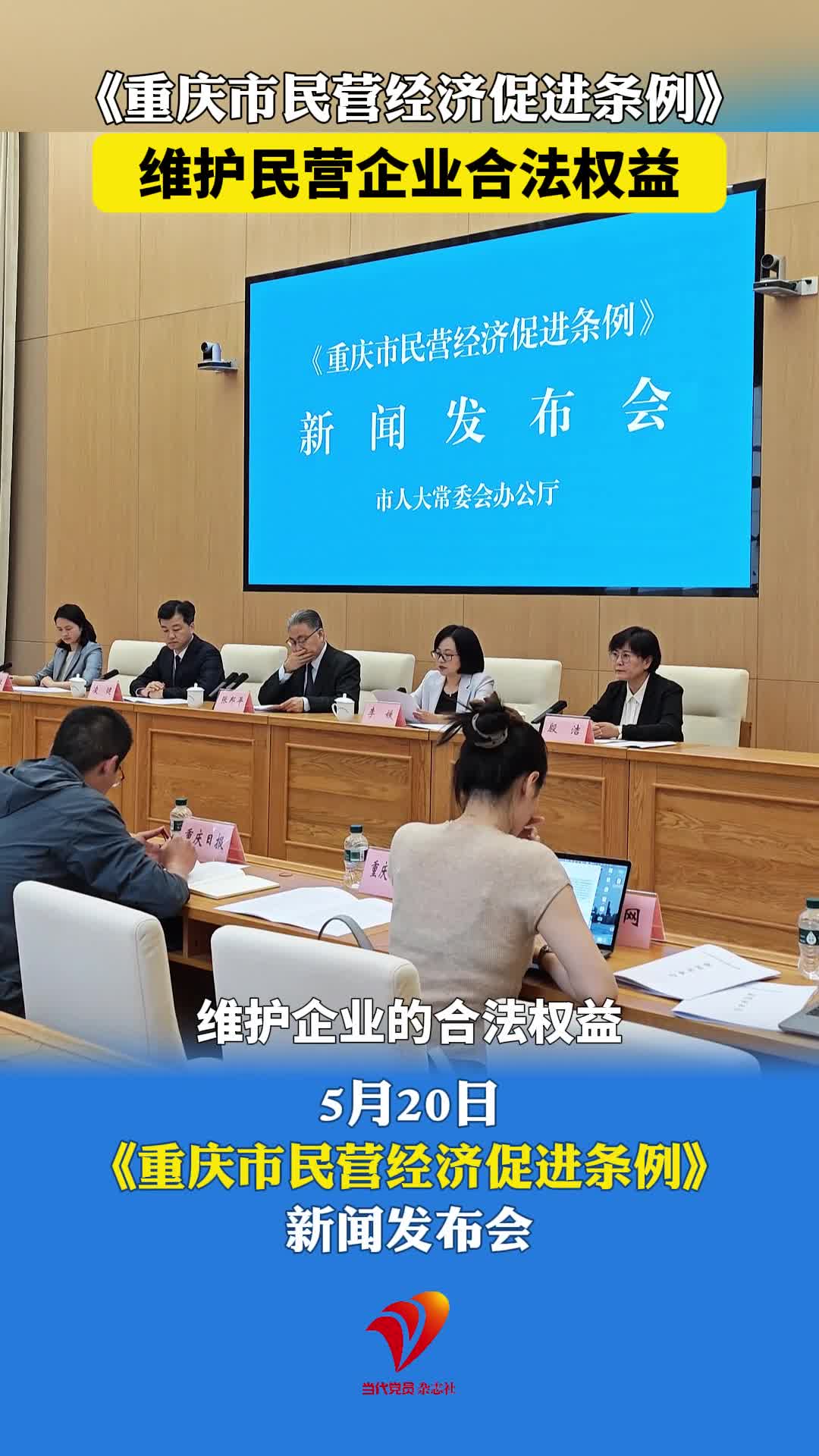 《重庆市民营经济促进条例》维护民营企业合法权益