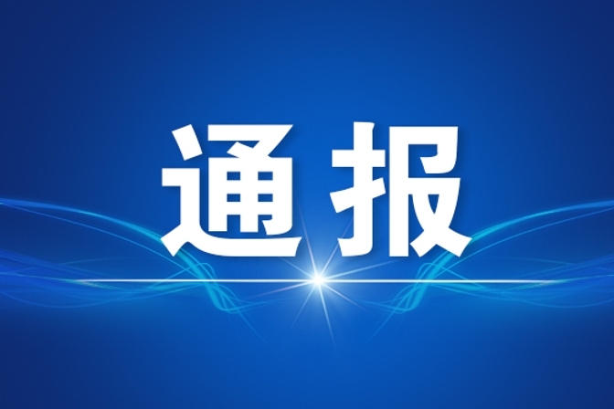 重庆通报4起整治形式主义为基层减负典型问题