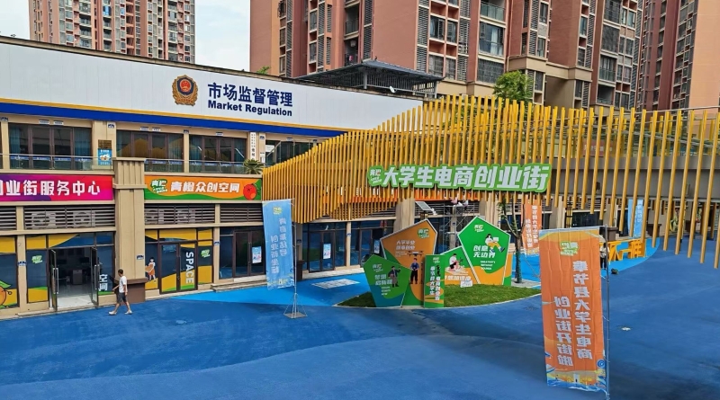 重庆奉节：为青年人才创业就业添足底气