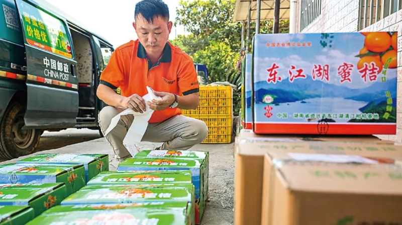 以投资于人赋能乡村振兴