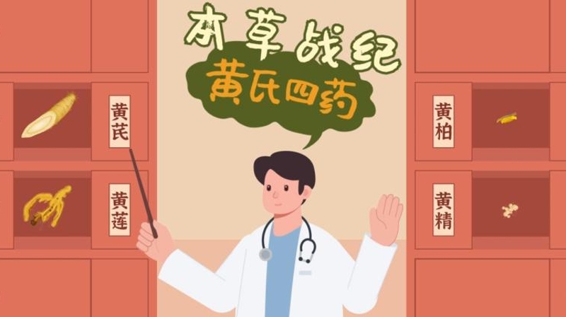 科普动漫·中药识别｜黄氏四药