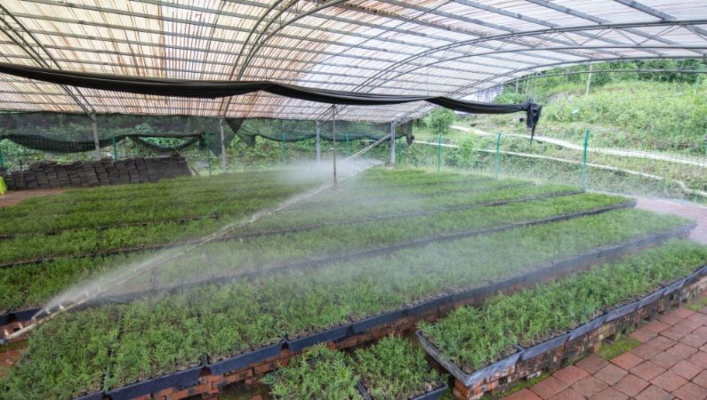 新华社看重庆｜扎根深山——守护三峡珍稀生态本底