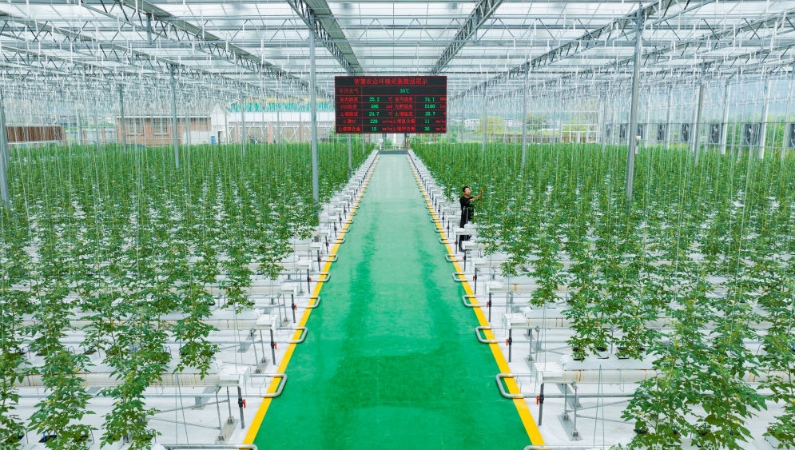 新华社看重庆｜兴农有“数”——重庆智慧农业一线见闻