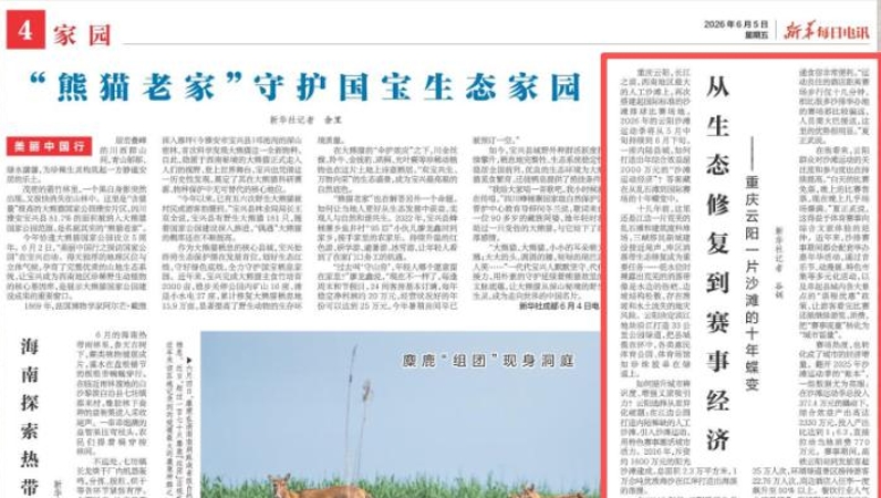 新华每日电讯看重庆｜从生态修复到赛事经济——云阳一片沙滩的十年蝶变