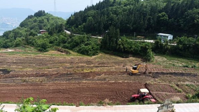 重庆云阳人和街道：聚力农田提质 绘就乡村振兴新画卷