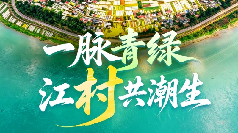 江村·中国｜一脉青绿 江村共潮生