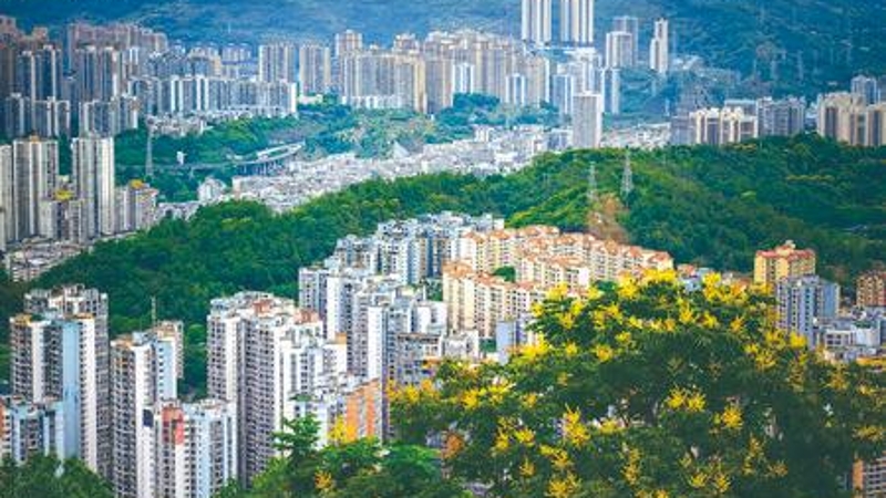 中共重庆市綦江区委常委、组织部部长熊健：构建党建引领“綦理家·五员共治”小区治理机制 全面提升基层治理效能