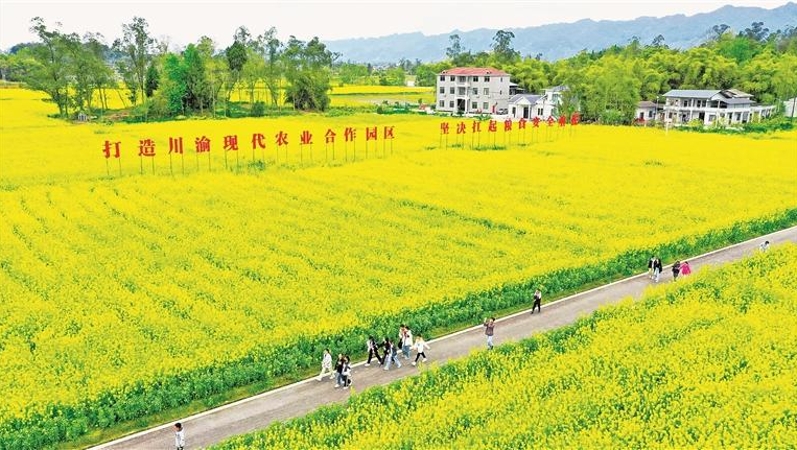 巴山蜀水起新声——成渝地区双城经济圈协同发展调研