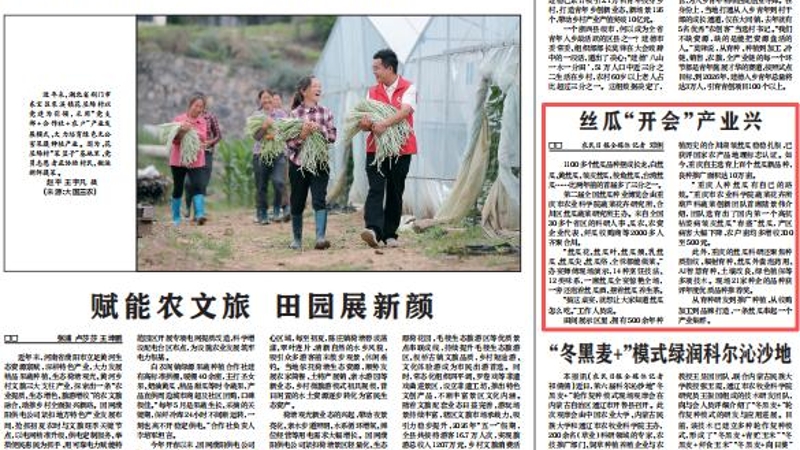 农民日报看重庆｜丝瓜“开会”产业兴