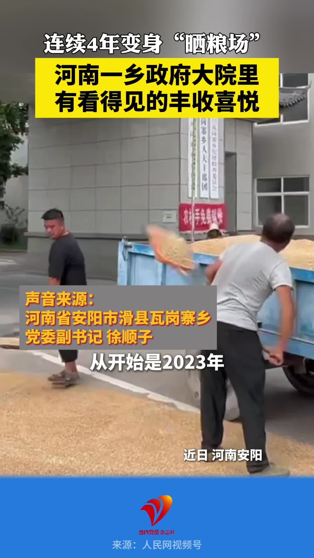 连续4年变身“晒粮场”！河南一乡政府大院里有看得见的丰收喜悦