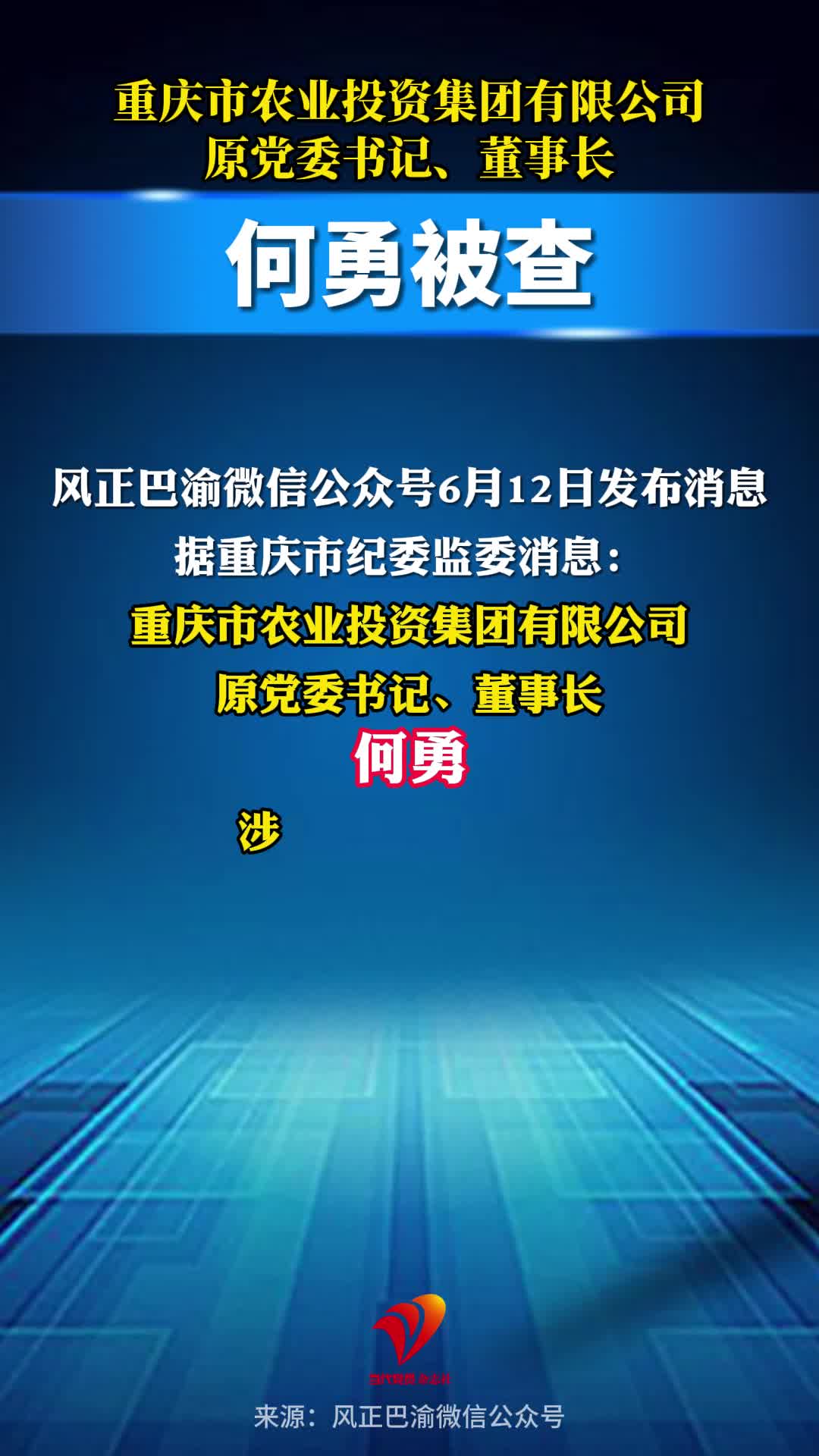 重庆市农业投资集团有限公司原党委书记、董事长何勇被查