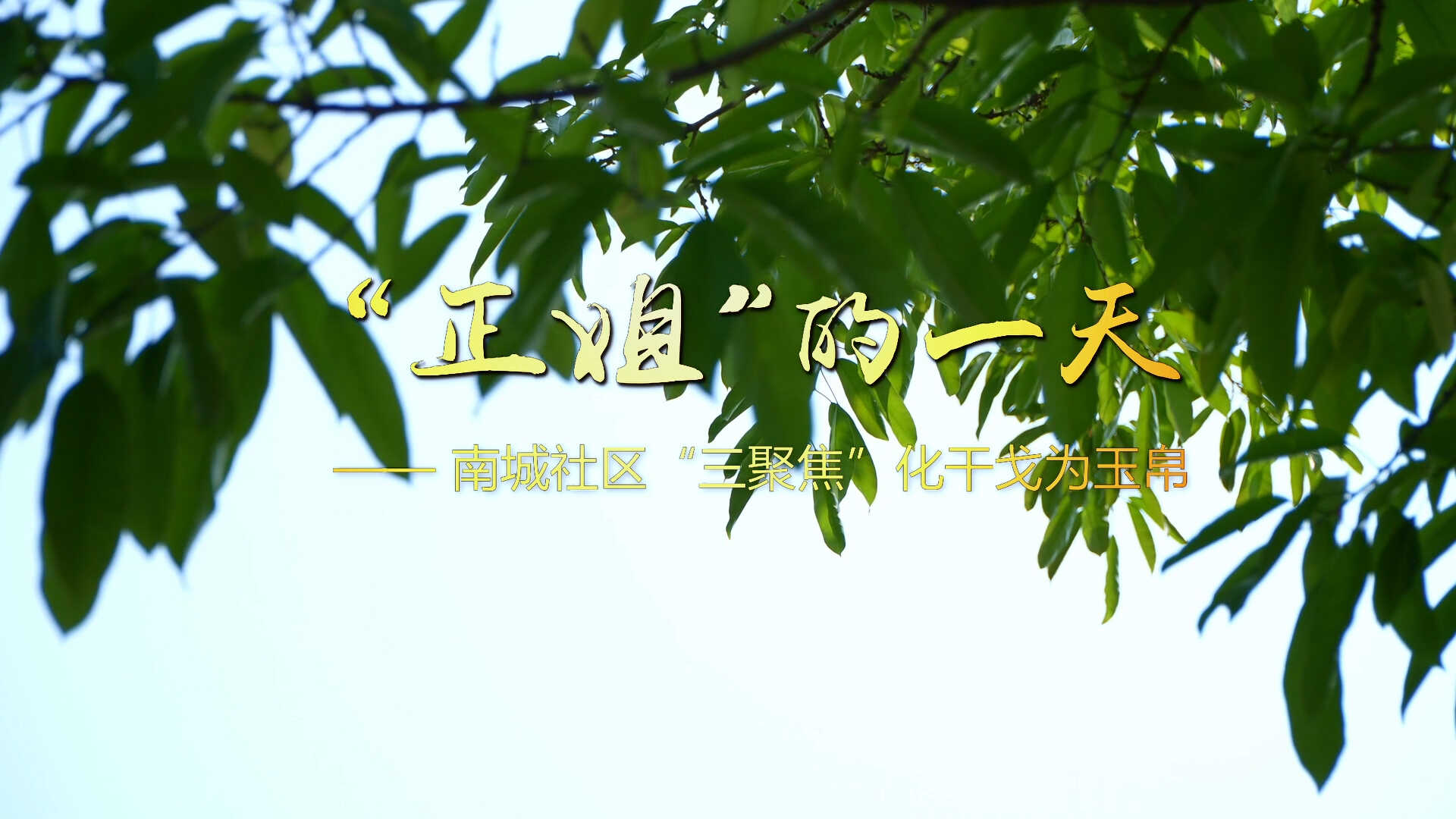 重庆铜梁“百名书记荐百村”｜“正姐”的一天——南城社区“三聚焦”化干戈为玉帛