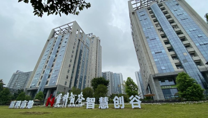 半月谈｜重庆市科学技术研究院党委书记雷虹：以重构提升改革激发教育科技人才一体发展效能