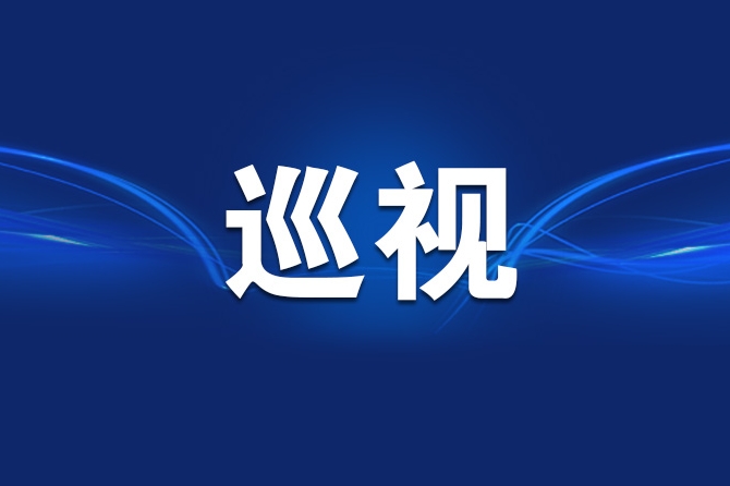以巡促治铸忠诚 服务大局显担当——六届重庆市委第六轮巡视整改进展情况综述