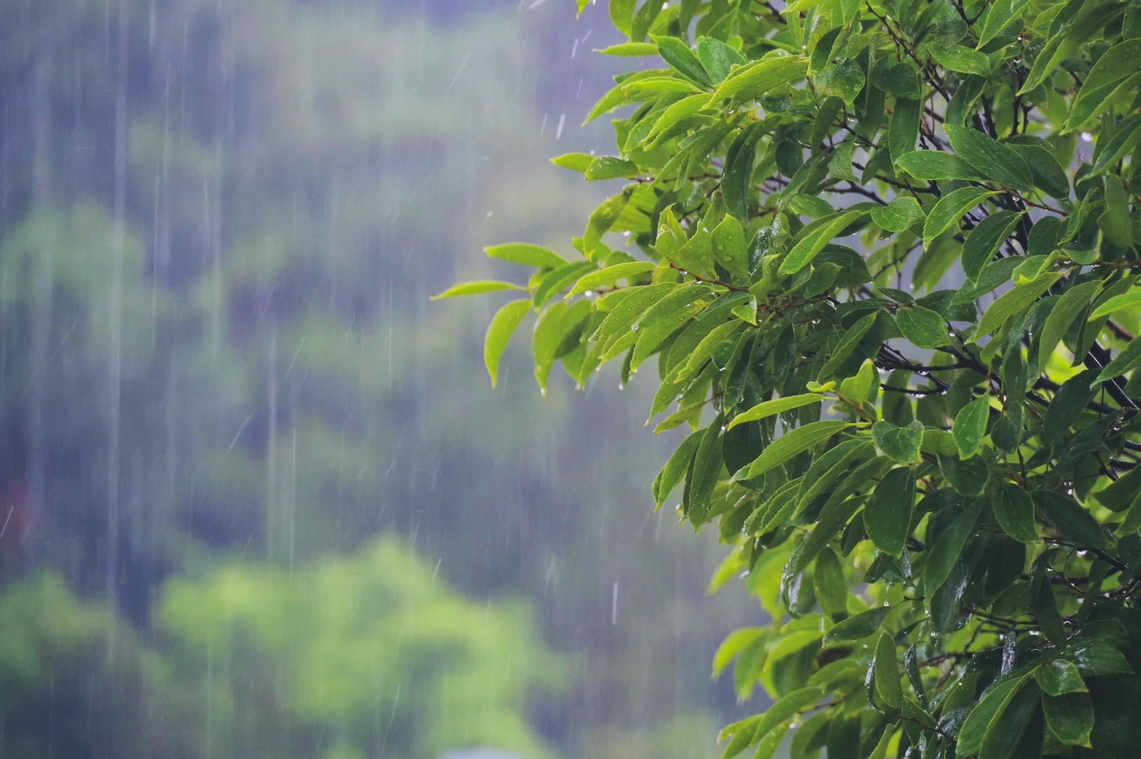 6月18日下午到夜间重庆中东部地区仍有中到大雨 预计本轮强降雨将于19日早上结束