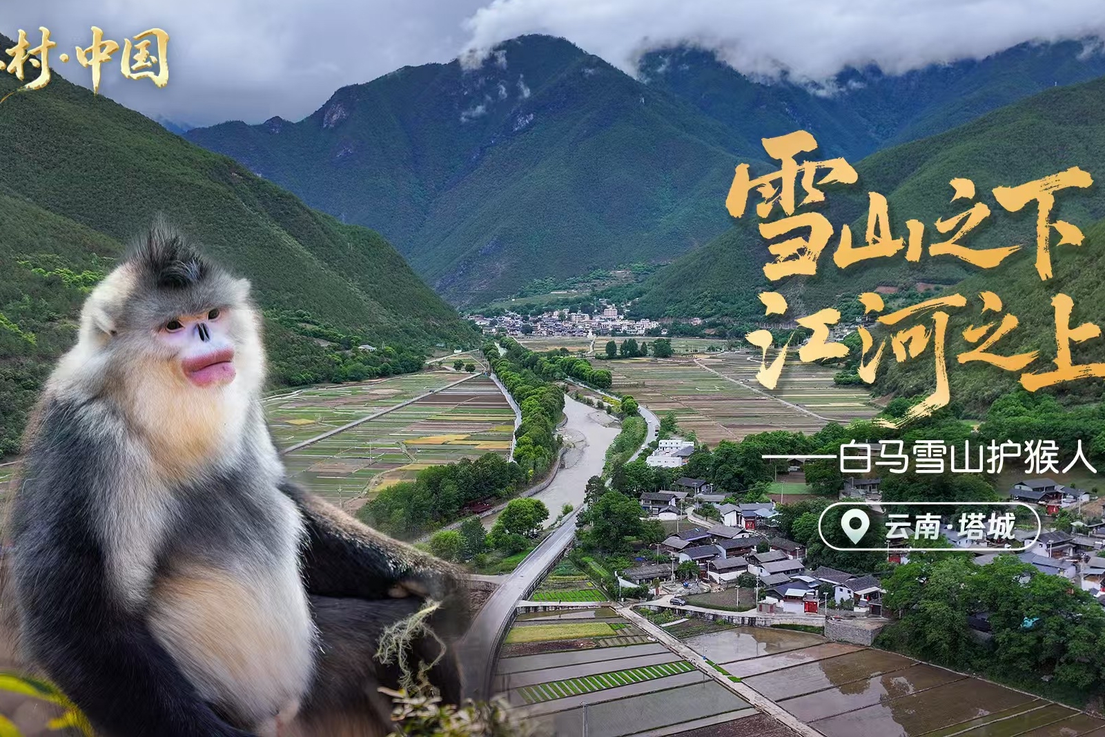 江村·中国 | “雪山精灵”守护人