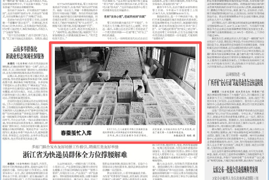 工人日报看重庆｜黔江：春蚕茧忙入库