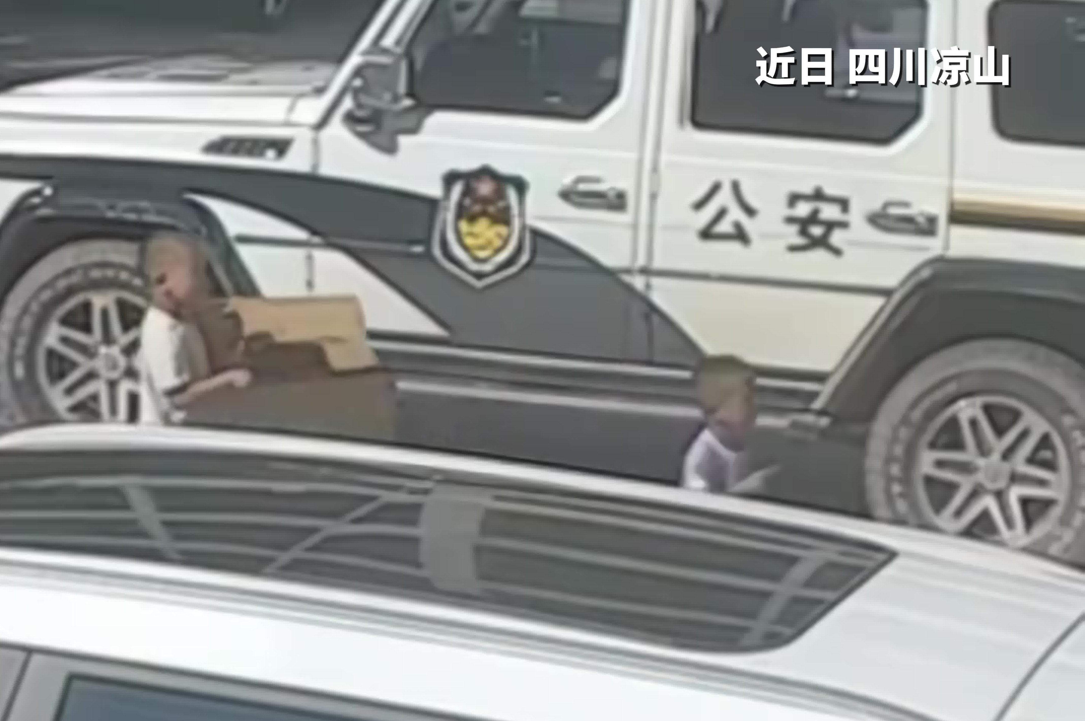 三位小朋友救助国家二级保护动物白腹锦鸡后，一路小跑来到派出所。网友：太可爱了！被民警表扬到转圈圈