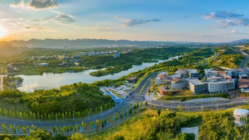 半月谈｜重庆市两江新区人民政府党组成员、副区长郑航：以产业需求牵引教育科技人才一体发展