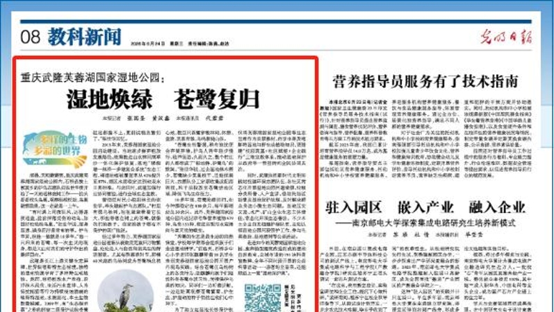 光明日报看重庆｜武隆芙蓉湖国家湿地公园：湿地焕绿 苍鹭复归