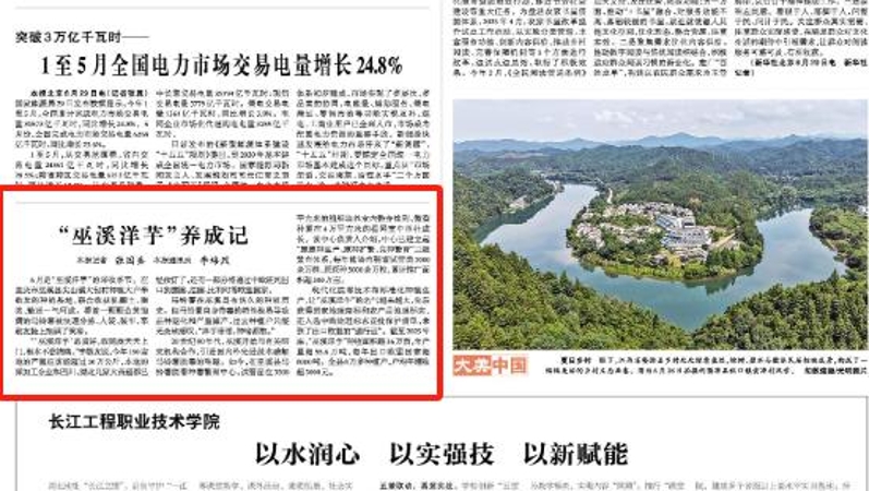 光明日报看重庆｜“巫溪洋芋”养成记